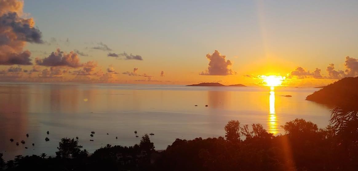 Mango Lodge Anse Volbert Village Exterior foto